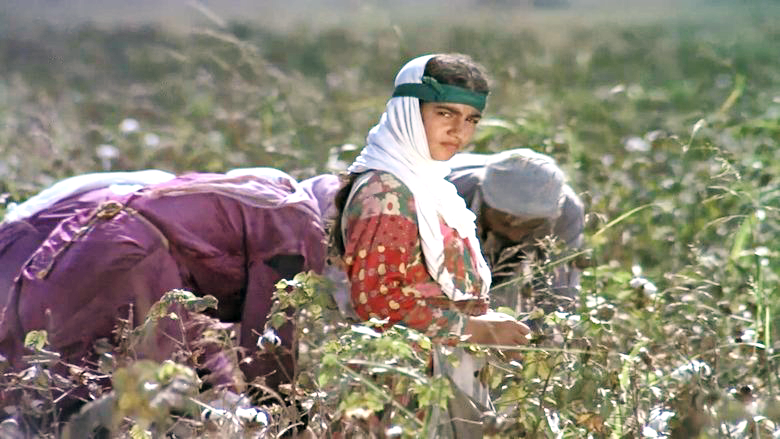 Endişe (1974)