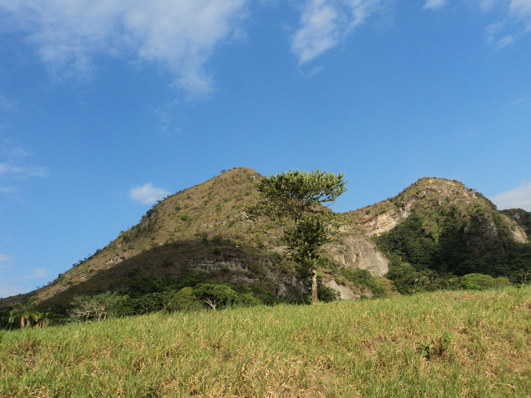 Henry-Ortiz-Utima-arbol-al-inicio-de-la-monta-a