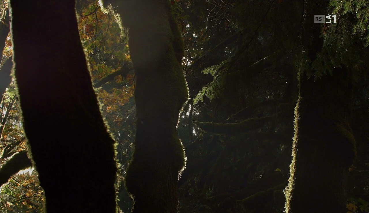 vlcsnap-2016-11-01-09h32m31s366