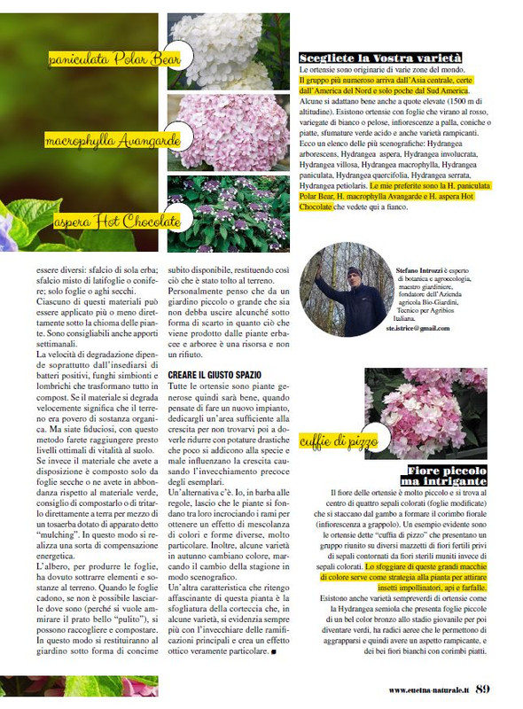 Cucina Nat Ott 2023 (10)