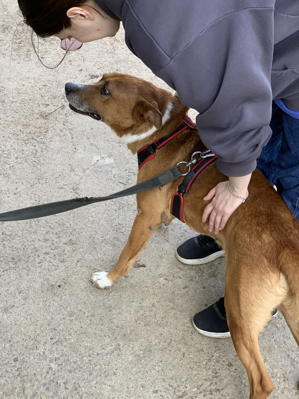 AF1930E5-1EB6-40FA-BB0C-0A70BFED9819