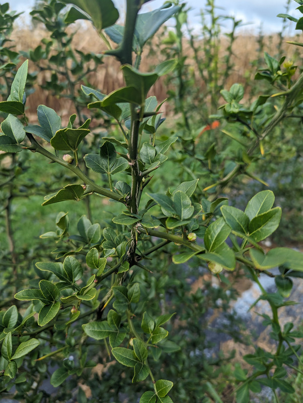 PXL_20230925_144232992