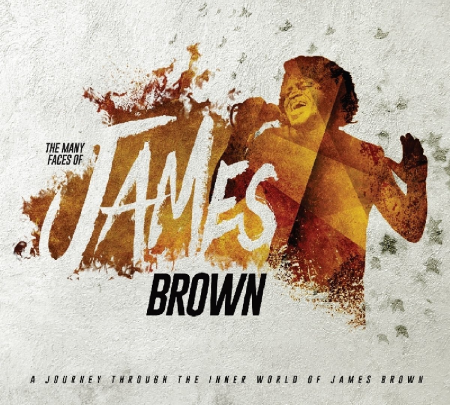 VA - The Many Faces Of James Brown (2018)