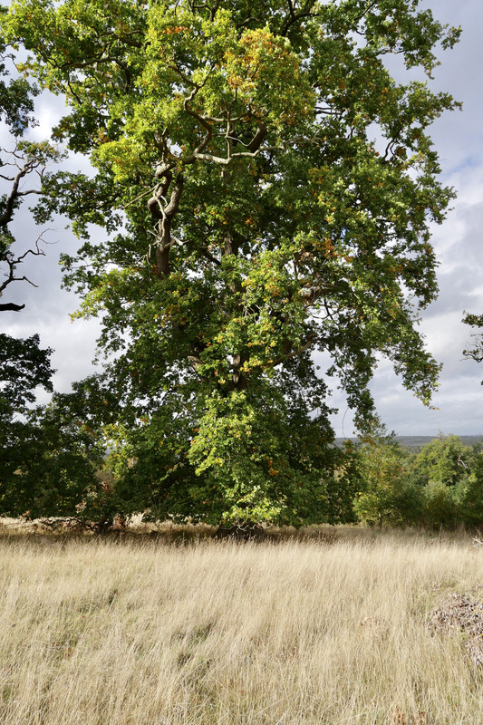 7A61B915-CBA3-4E81-8C2E-4F724FFB7749