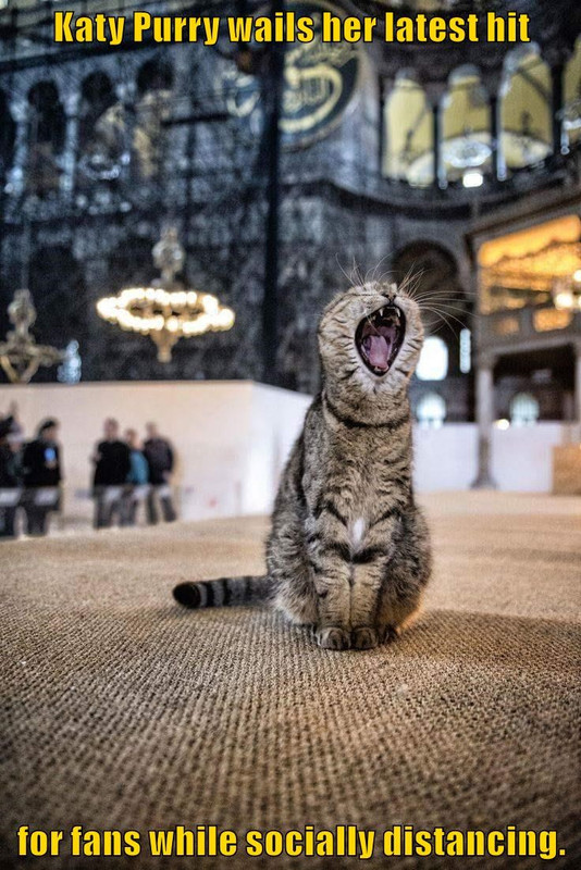 katy-purry
