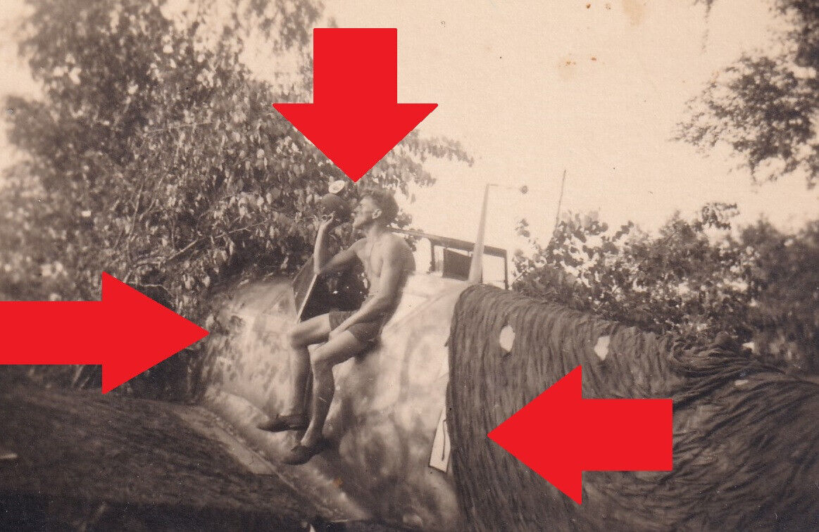 Foto,ME 109,Jagdgeschwader 54,Staffelabzeichen,Mailing,Kennung,Tarn,JG 76,Jäger (1)