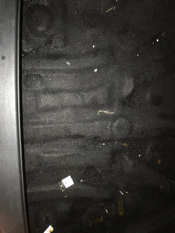 1B056C7F-8EE6-49BF-9FAA-2F81B51E9B9F