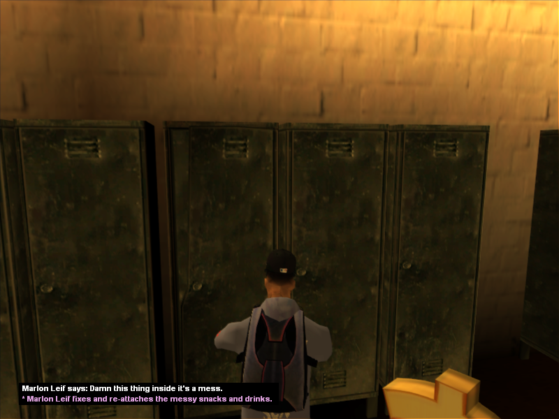 SS46.png