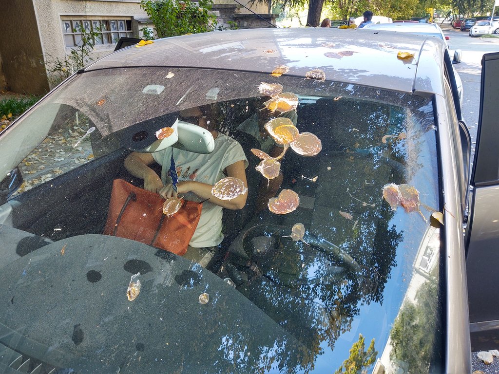 IMG_20210911_105652489_HDR