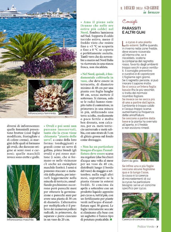 Pol Ver Mag 2023 (2)