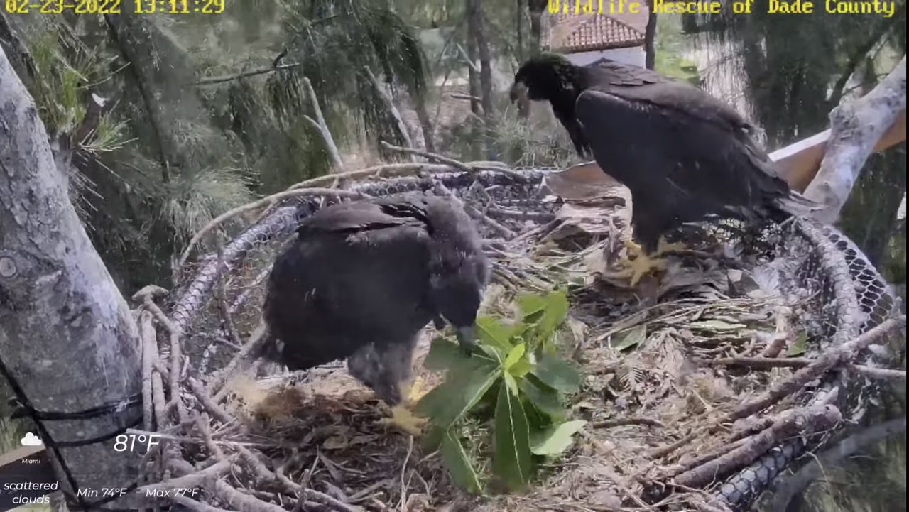 83C3B005-85CE-4F27-B978-9AB838C60000