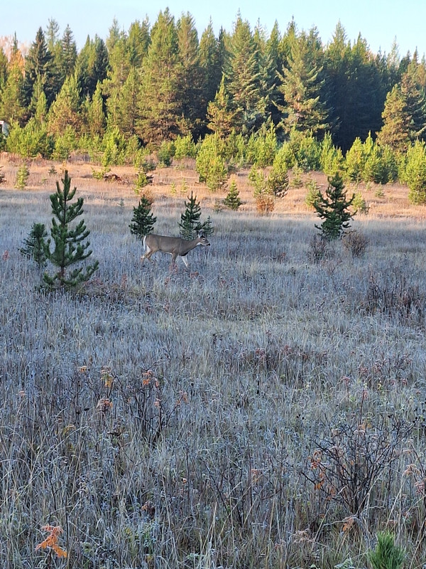 20241011-084408.jpg
