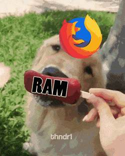 daily-gifdump-3379-24.gif