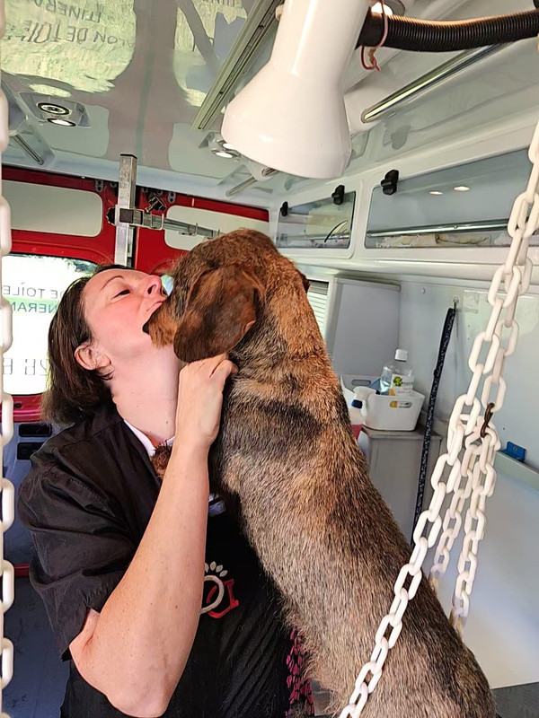 [Image: IMG-20240704-WA0001.jpg]