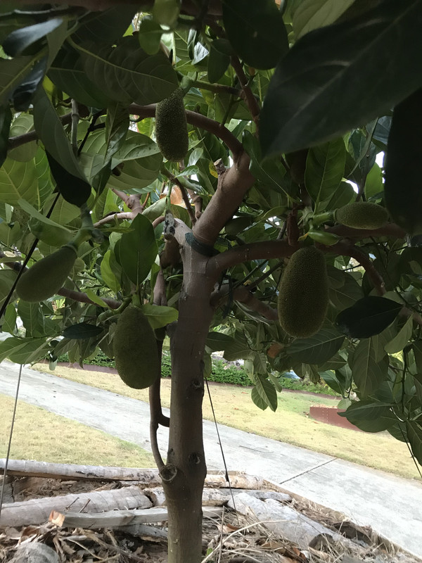 297E0BDE-D7F9-453F-997A-C3DF40D78BBE