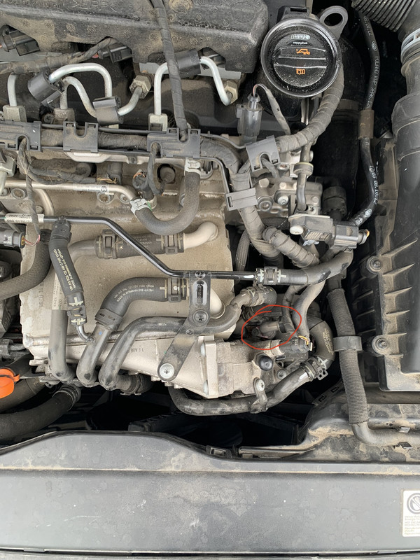 8C45561F-2E5D-4B94-BCE3-15D41E58D9BE