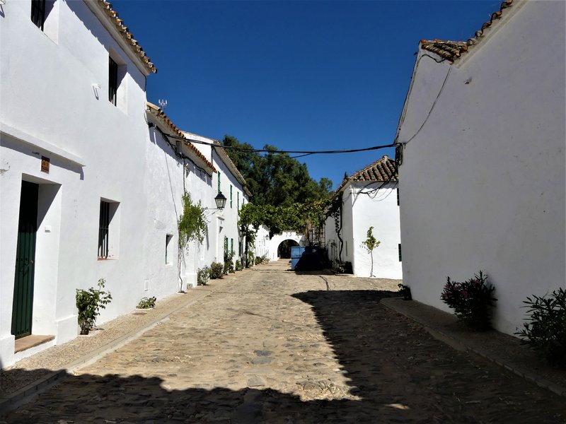 HORNACHUELOS-4-7-2020 - Córdoba y sus pueblos-2017/2020 (74)
