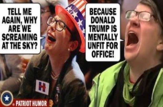 deranged-liberals-by-Liberal-Logic-101-3
