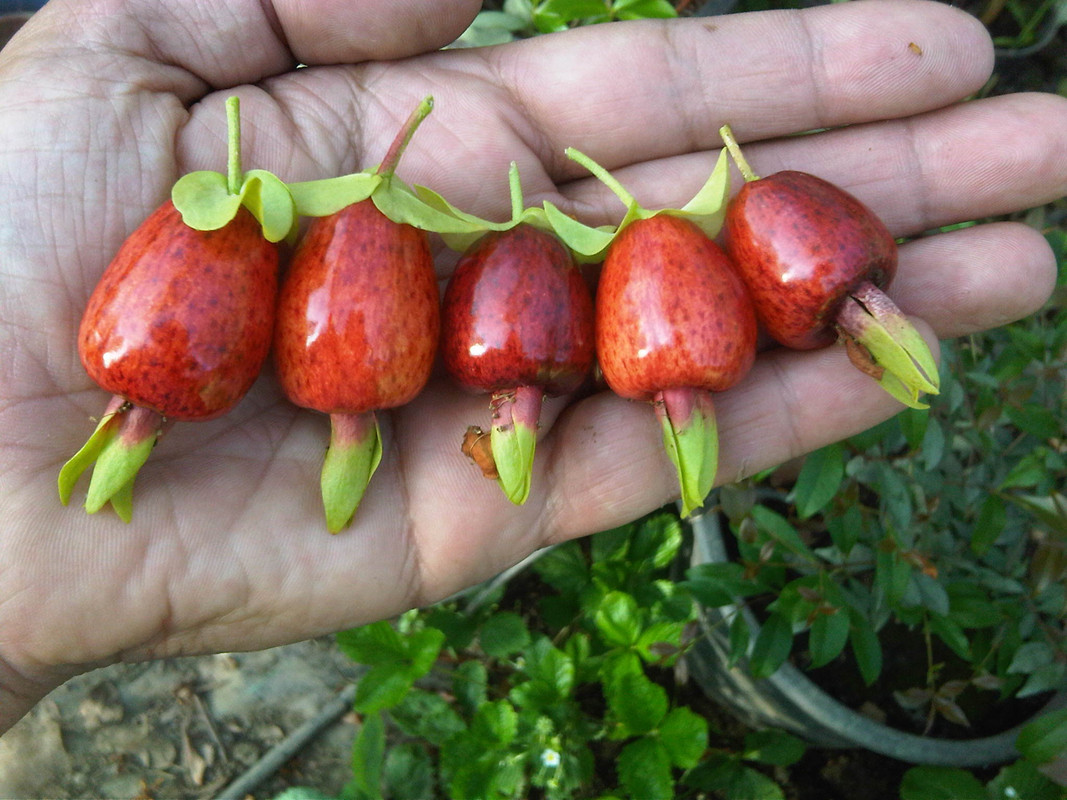 IMG00212-20130613-1911