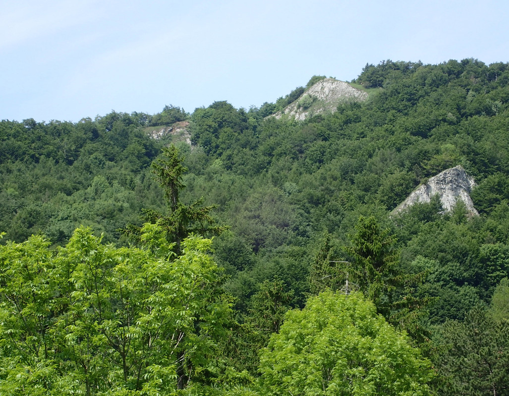 2019_0609G_STRAŻOWSKIE0113