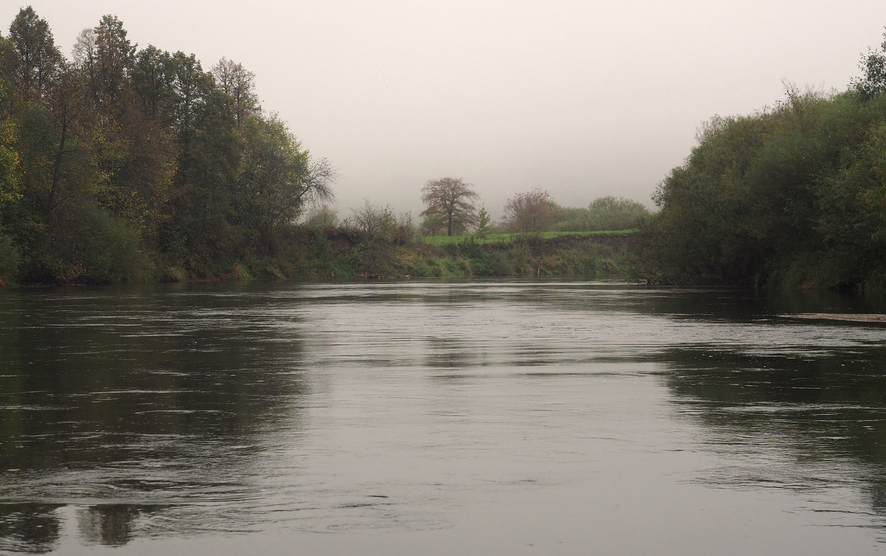 P9151713.jpg