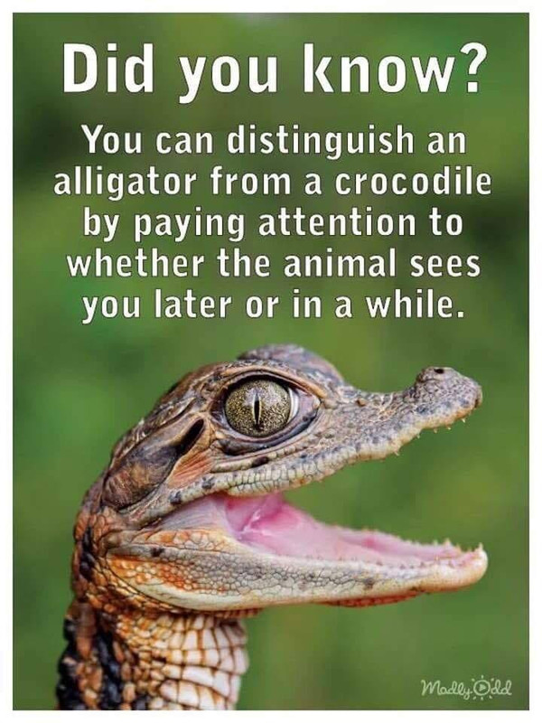 356712396-807940234065036-3091396901863688938-n.jpg