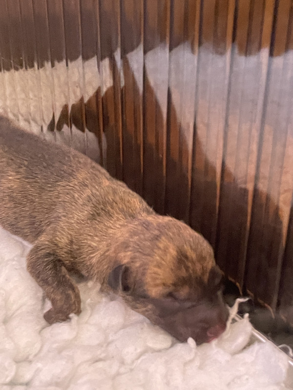 E680F3AE-6C85-4BC1-BFA7-6C36D7BB3D2D