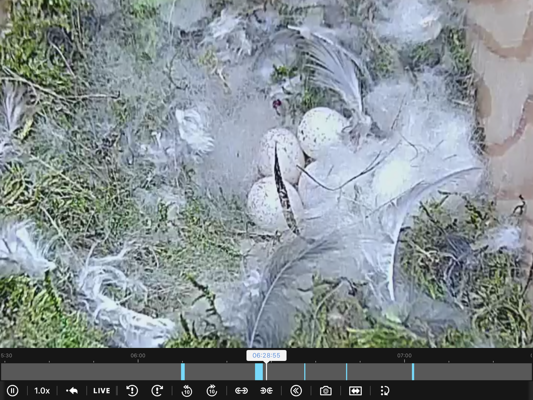 92D4A371-D8C7-4A13-8160-9BE26D4C50AC