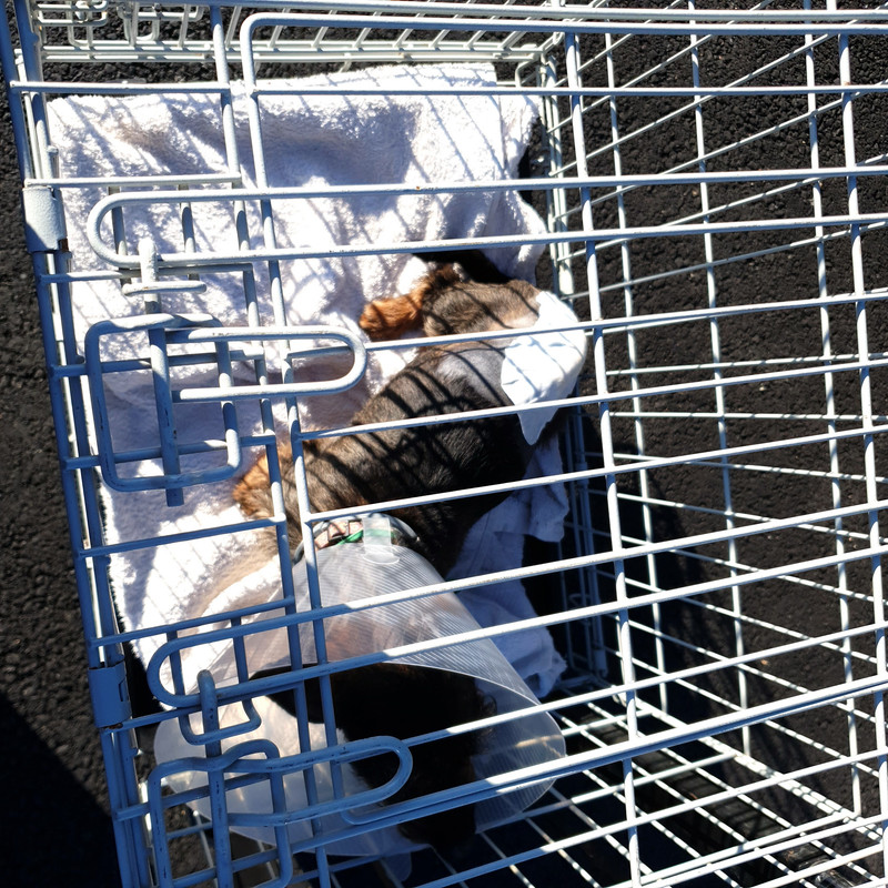 [Image: 20210906-182535.jpg]