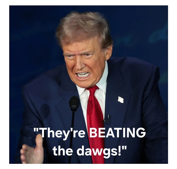 UGA19.jpg