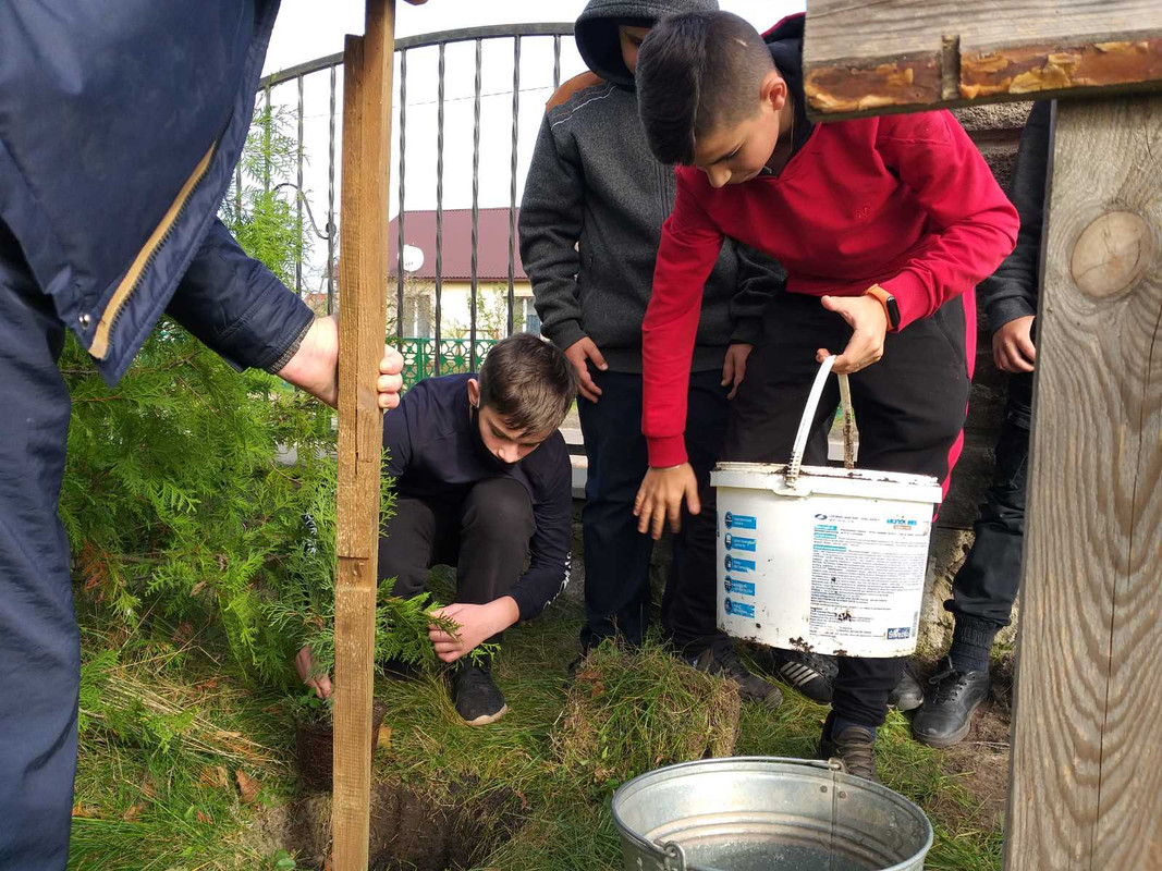 0-02-05-0a3e7e3fdafe9edb3a3a3fb893fce6f63fede260b52cc7a6df2e26cc21a015df_9fa4263b