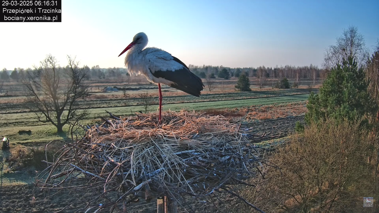 29032025porannezamieszanie_20