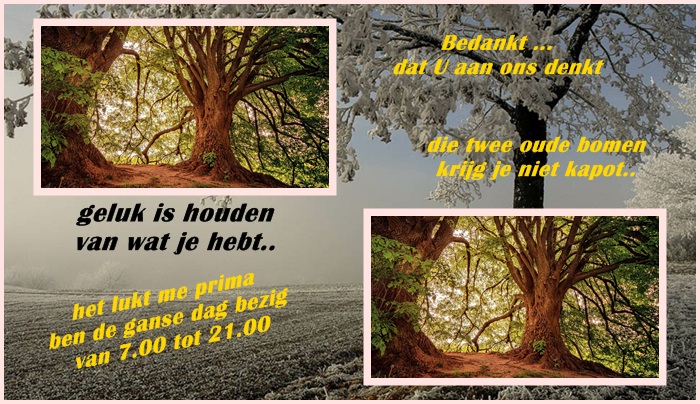 welkom opblog Bunic Jos
