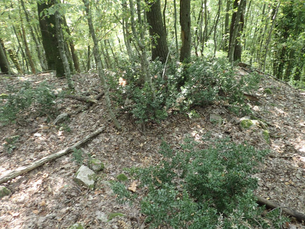 RUTIZAM SRBIJA - DragoševacJerinin grad (jagodinski) (5)