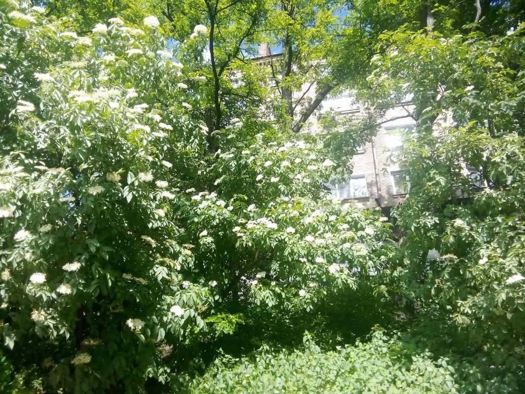 photo_2025-05-31 5.25.15 пп