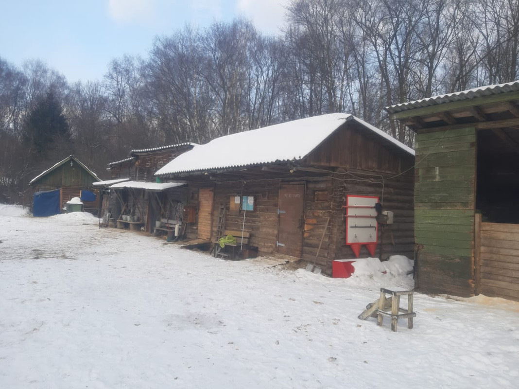 WhatsApp Image 2021-03-10 at 09.27.15 (3)