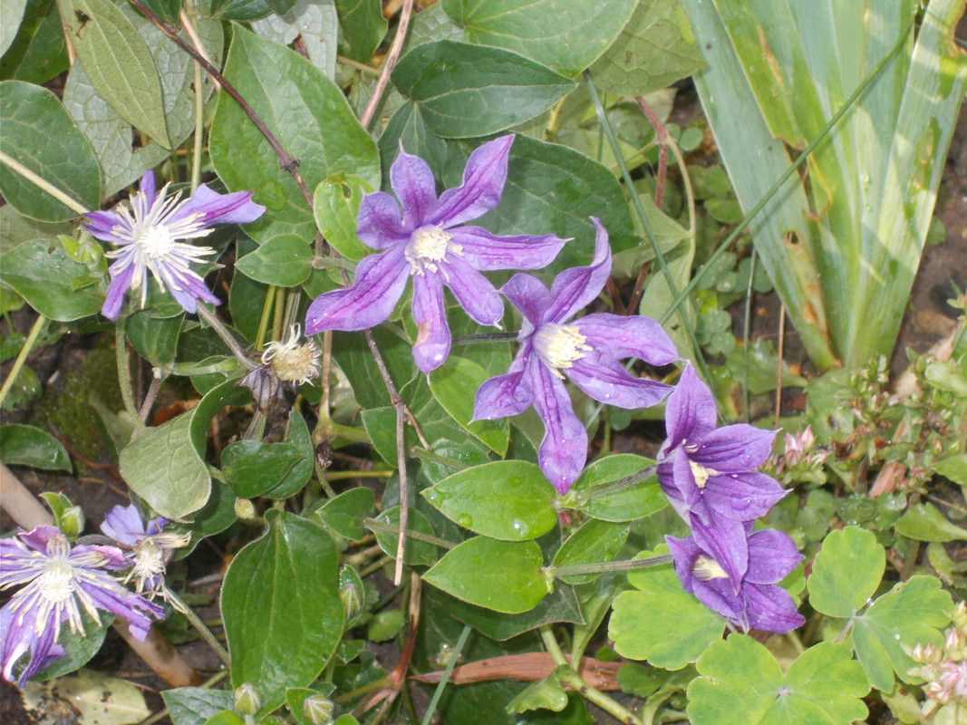 DSCN2198