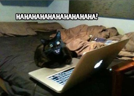 THE MOST EPIC CAT EVAR