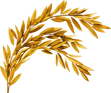 48