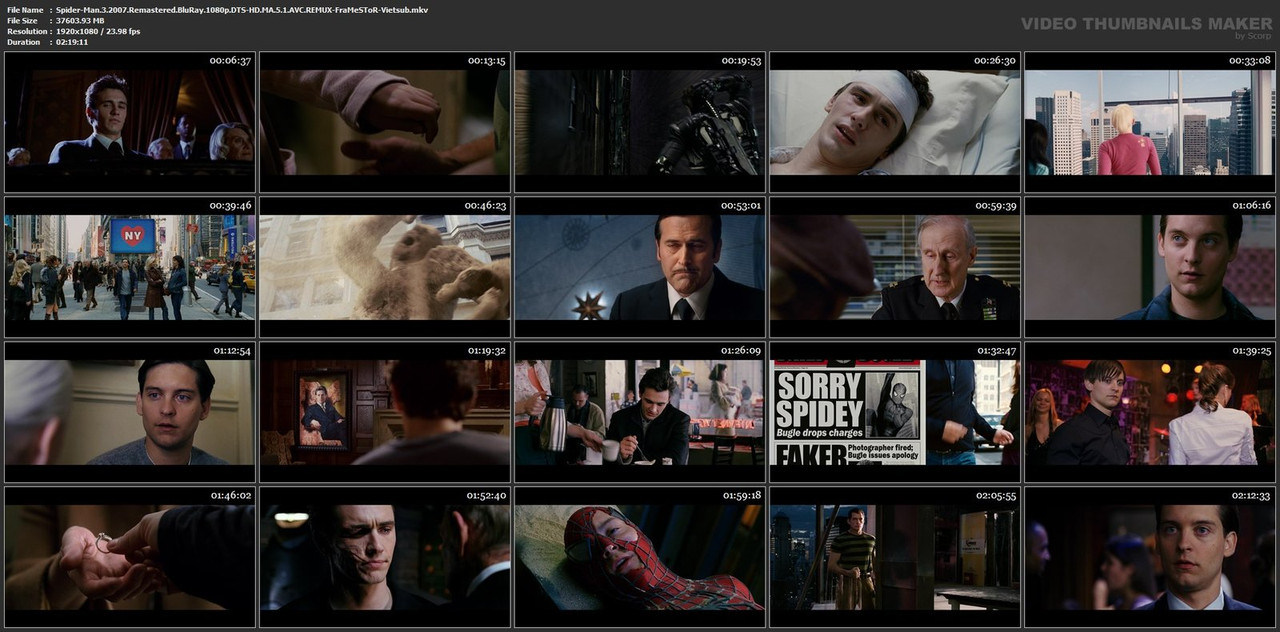 Spider-Man-3-2007-Remastered-Blu-Ray-1080p-DTS-HD-MA-5-1-AVC-REMUX-Fra-Me-STo-R-Vietsub-mkv.jpg