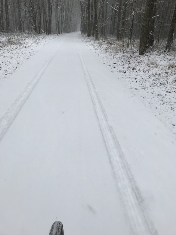 9A6C99D5-0182-43E8-BF87-FE986982DF2C