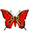 13b.gif