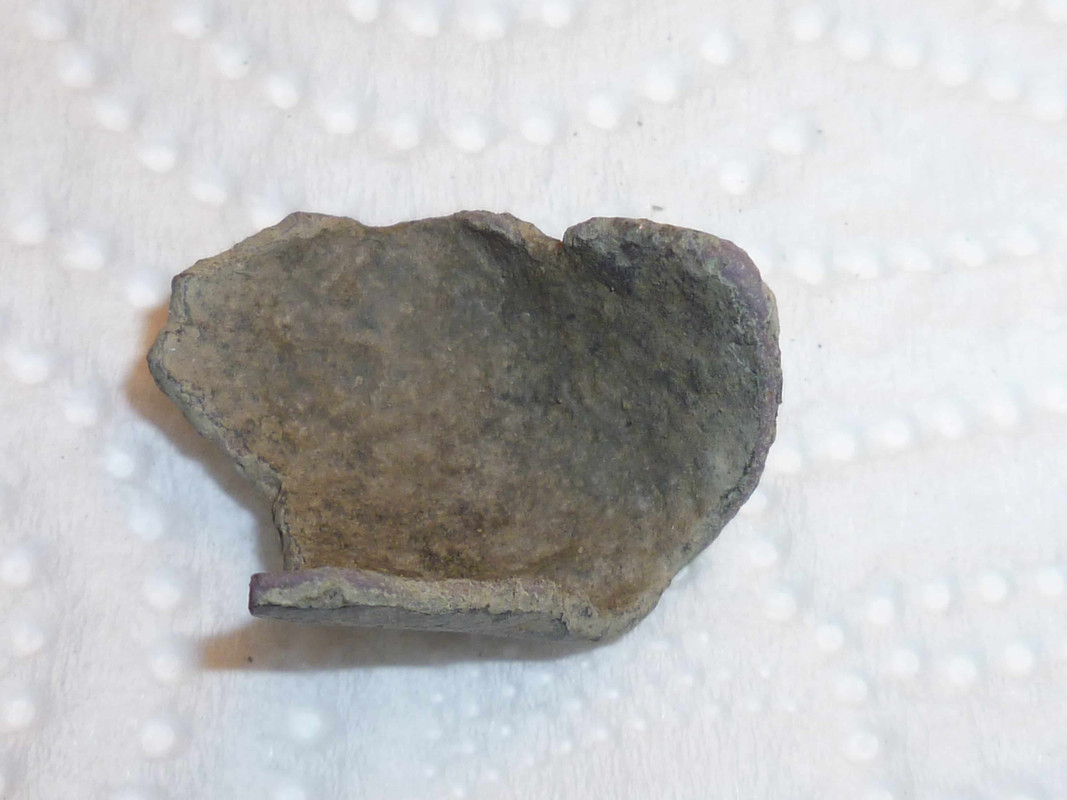 P1010585