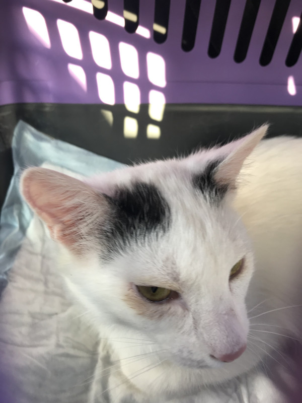 7EE71A79-D0DE-4E71-9599-6DF579AED9D2