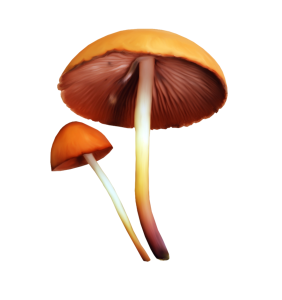 TADD_elements_ShimmerFall (45)