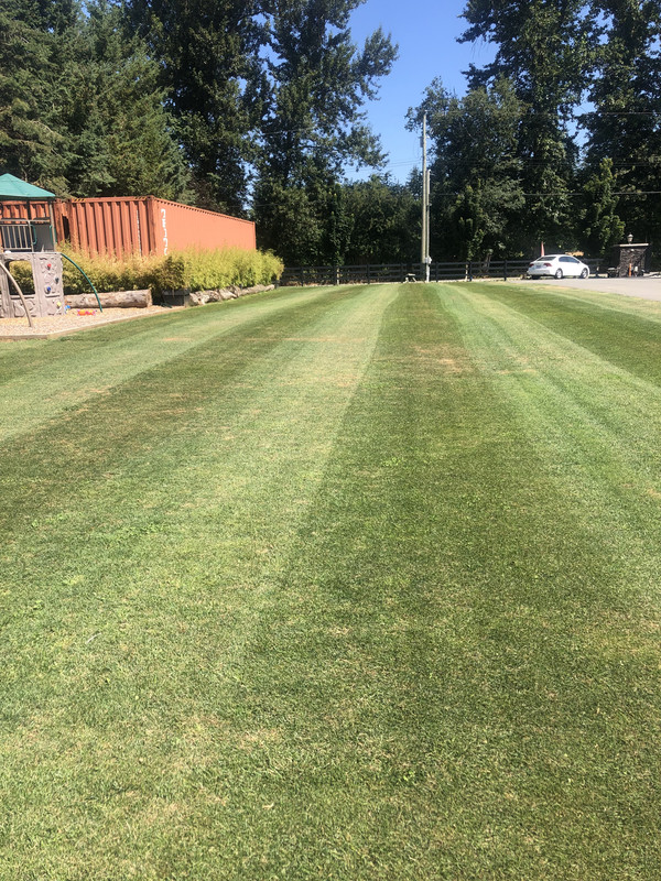 97A76E2B-A5DE-4DA0-8498-D5145BC7B687