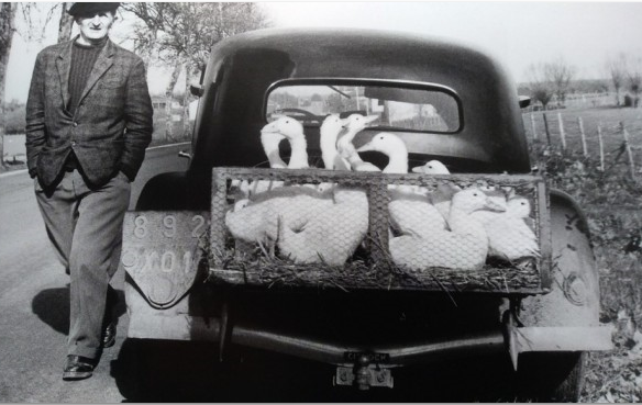 La Traction aux canards .