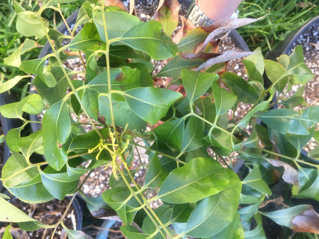 A820E838-353B-4404-AD1E-C715430A0B57