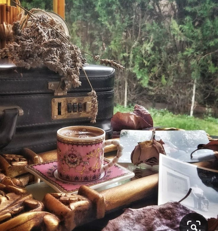 Screenshot_20231031_163524_Pinterest