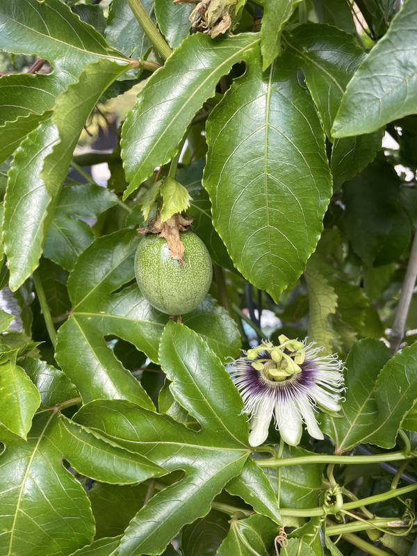 8188358D-B640-45D4-B305-3769B8876F6A